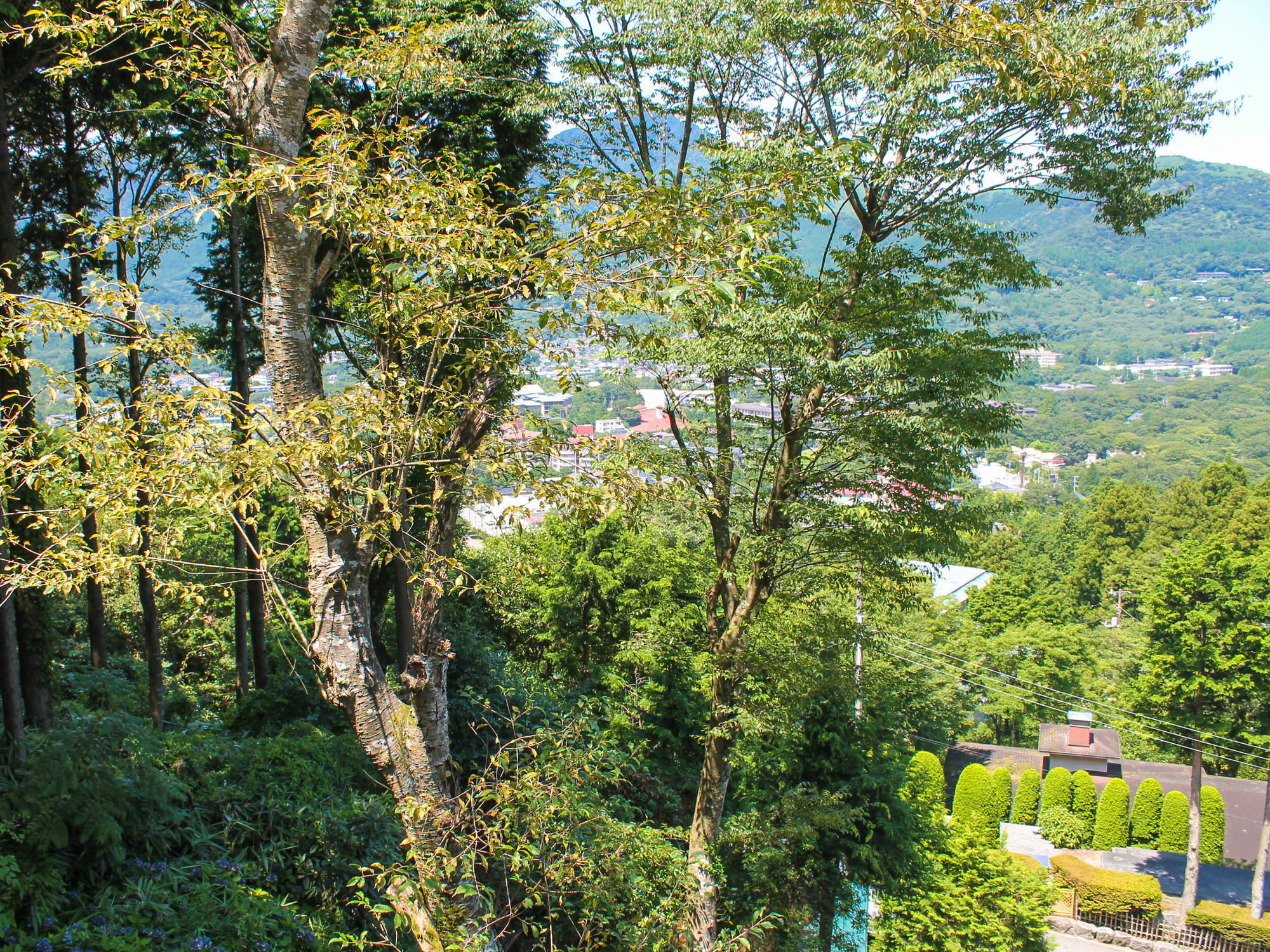 Livemax Resort Hakone Sengokuhara Exterior photo